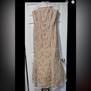 Mother of the Bride gown.